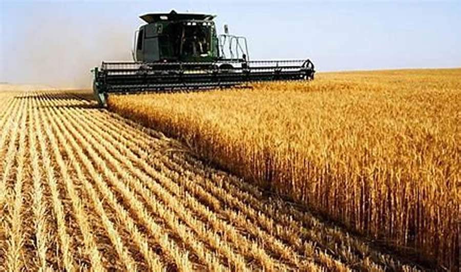 Pesquisa investiga o cenário de investimento tecnológico do agronegócio brasileiro