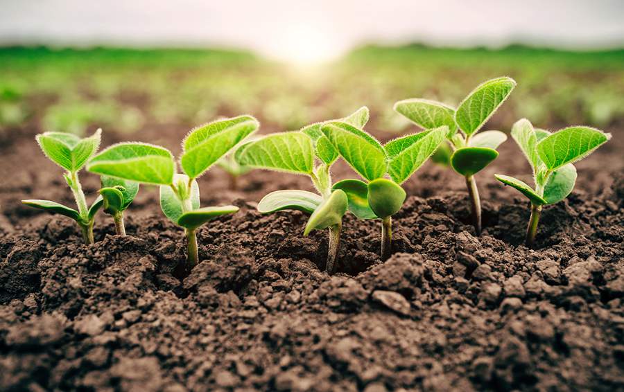 Multinacional francesa ingressa no mercado de biológicos do país