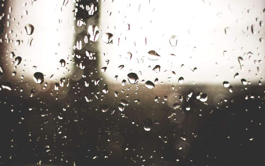 Em meio à pandemia da COVID-19, veja as dez profissões que mais têm vagas disponíveis