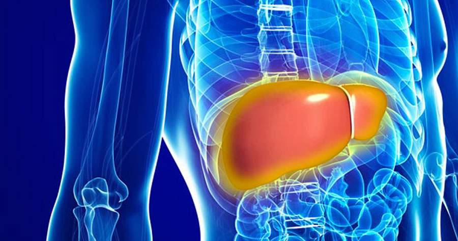 Um em cada cinco jovens tem doença hepática gordurosa e a obesidade é um fator de risco, diz estudo
