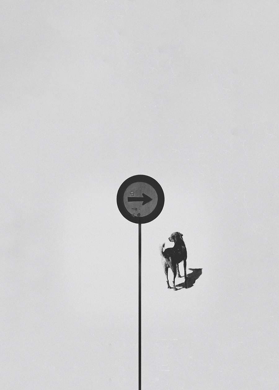 Cr&eacute;dito: Divulga&ccedil;&atilde;o 