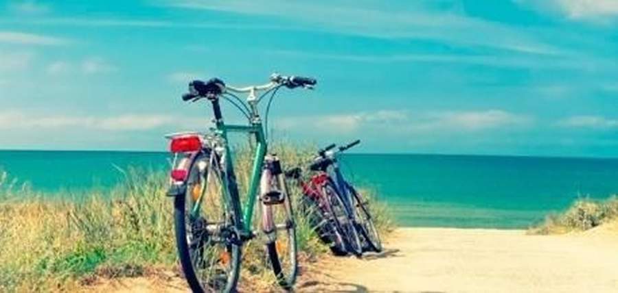 Crédito: divulgação