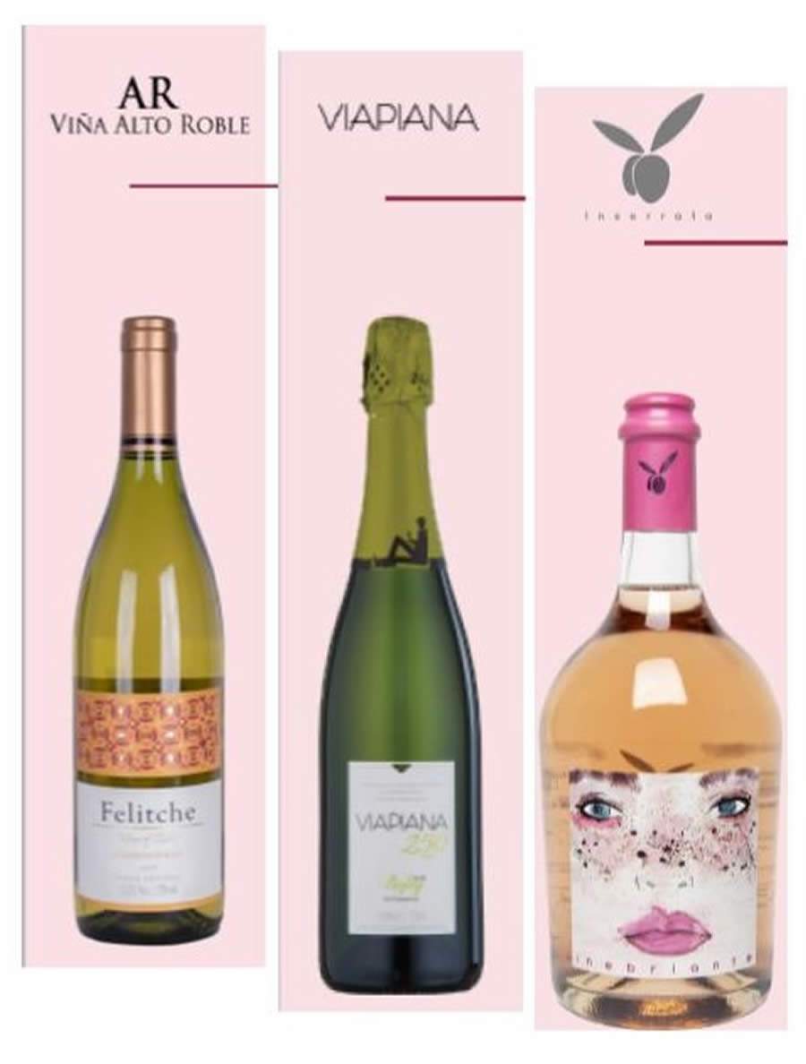 MMv vinhos de primavera 2 - MMV