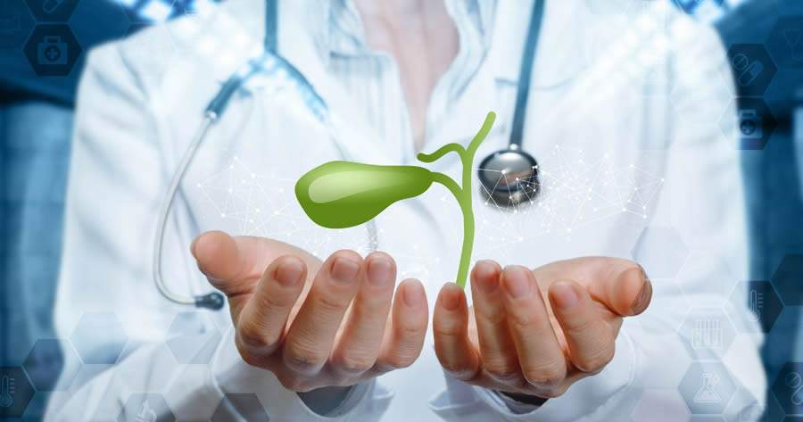 Cr&eacute;dito: Divulga&ccedil;&atilde;o 