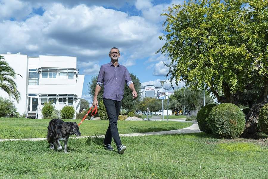   Cr&eacute;ditos: Divulga&ccedil;&atilde;o/ROYAL CANIN&reg;