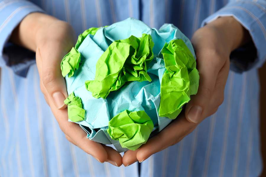 Dia Mundial do Consumidor: os cuidados com o greenwashing