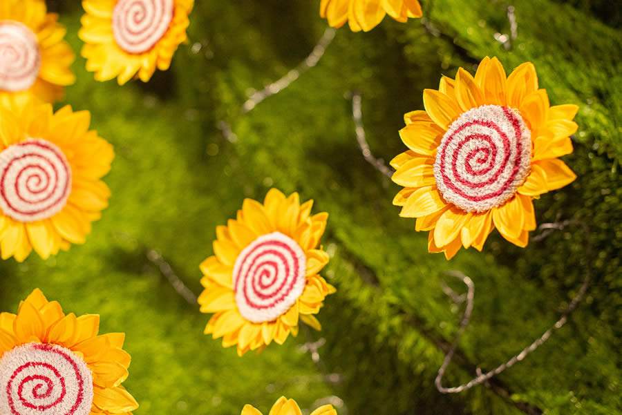 Cr&eacute;dito Divulga&ccedil;&atilde;o