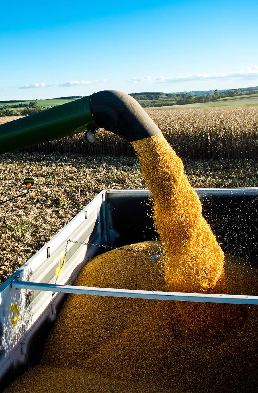 FMC acompanha resultados da 2ª safra do milho em todo o país