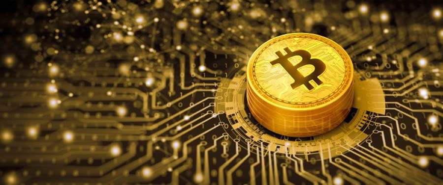 Lucrando com a Alta do Mercado de Criptomoedas? Confira como declarar no Imposto de Renda!