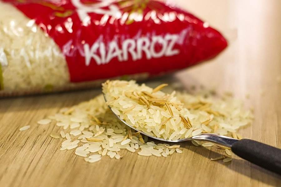 Cr&eacute;dito da Foto Catarina Bortolotto