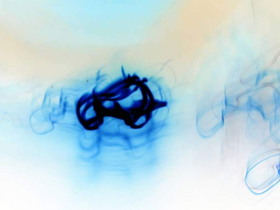 Imagem: freimages.com