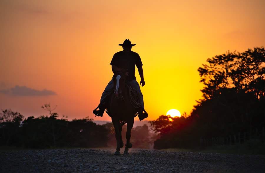 A figura do vaqueiro no Brasil é similar ao cowboy americano nos Estados Unidos - Divulgação