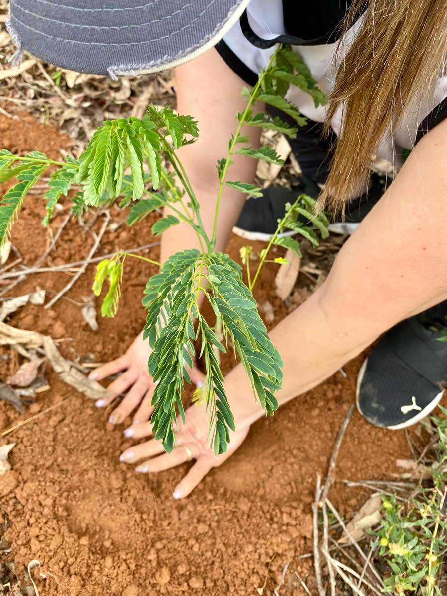 Crédito: Divulgação  MetLife 