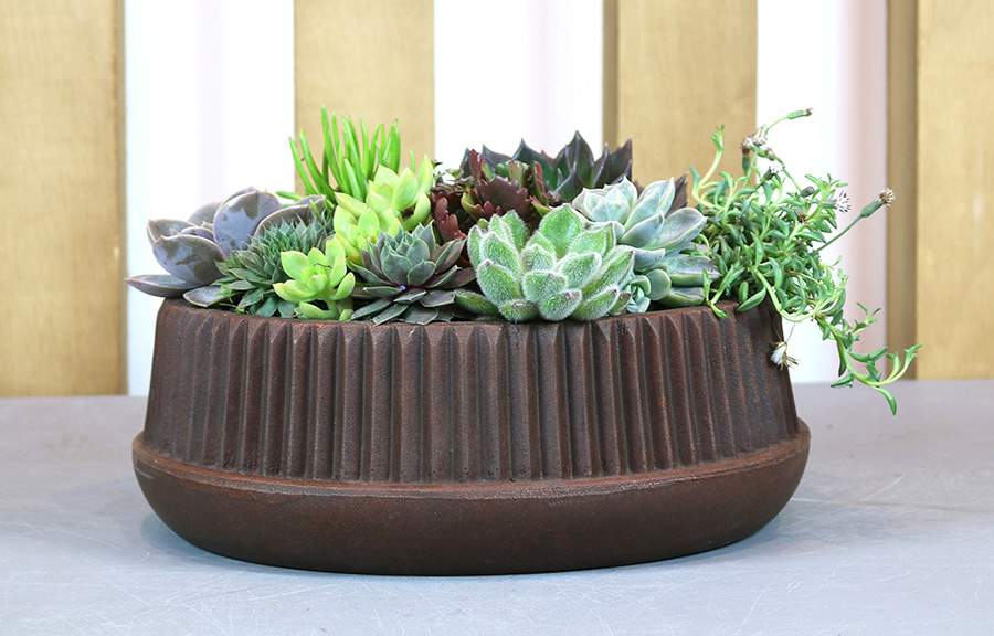 Os arranjos são opções populares e lindíssimas quando de trata de suculentas, pois a variedade da espécie e suas formas exóticas contribuem para uma composição que embeleza qualquer cantinho da casa | Na imagem, vaso da coleção Fuji, 32 X 11 cm | Foto: Divulgação Vasart
