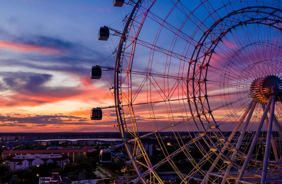 OrlandoEye_IconPark
