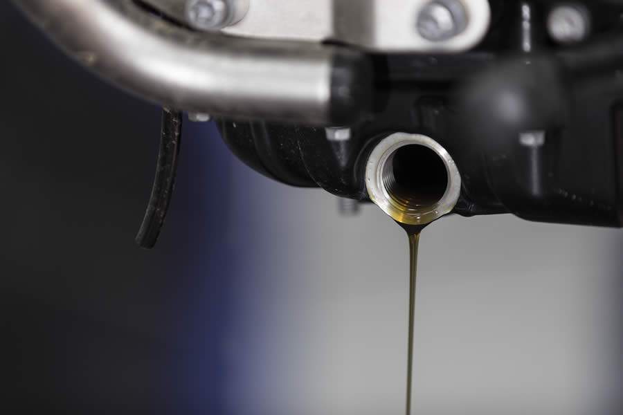 Divulga&ccedil;&atilde;o