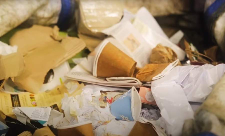 Dia Mundial da Reciclagem - Iniciativas e soluções visam garantir a economia circular de embalagens