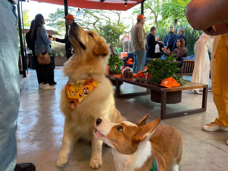 Gincana de tutores e pets no evento de lançamento da Wigow/Divulgação