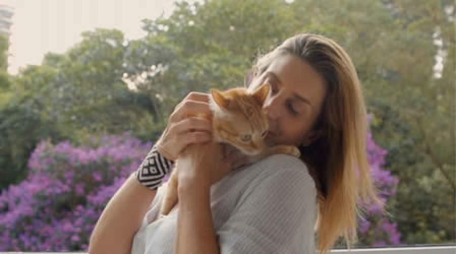 Série online “Amor de Bicho” chega ao UOL Play