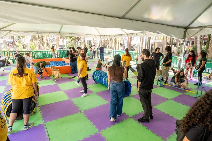 Imagem: Divulga&ccedil;&atilde;o