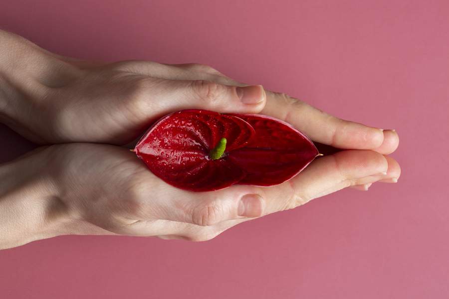 Foto: reprodução / Freepik