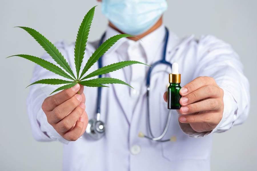 Empresa brasileira de medicina endocanabinoide participa de audiência pública sobre uso de cannabis medicinal em Foz do Iguaçu (PR)