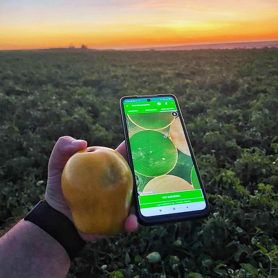 Agricultura digital avan&ccedil;a na Am&eacute;rica Latina e aproxima empresas de tecnologia a produtores