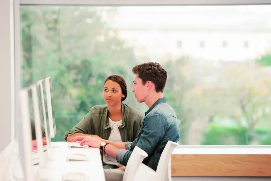 Crédito: Zurich - Perda de Privacidade Online