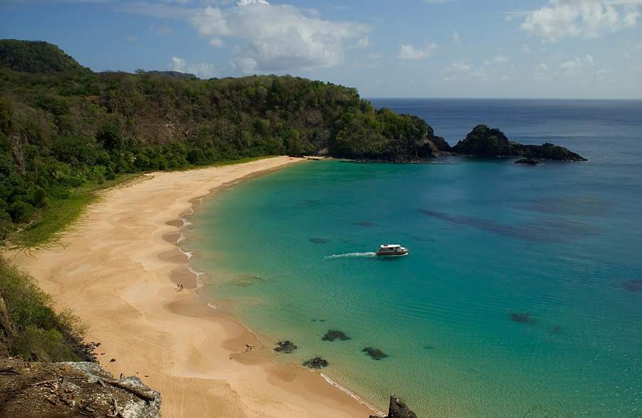 Cr&eacute;dito: Haroldo Palo Jr.