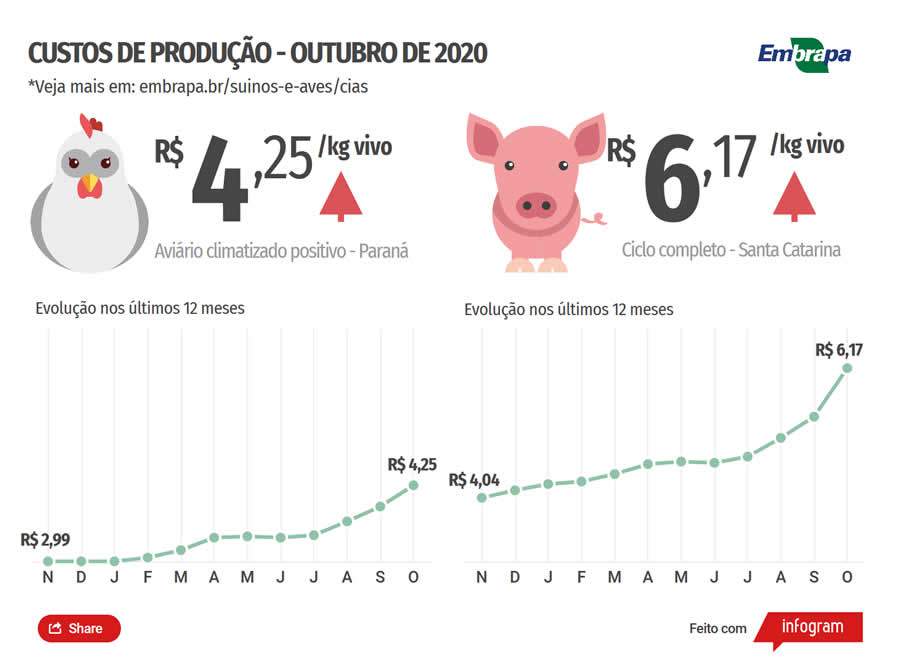 Custos de produção de suínos sobem 15% em outubro