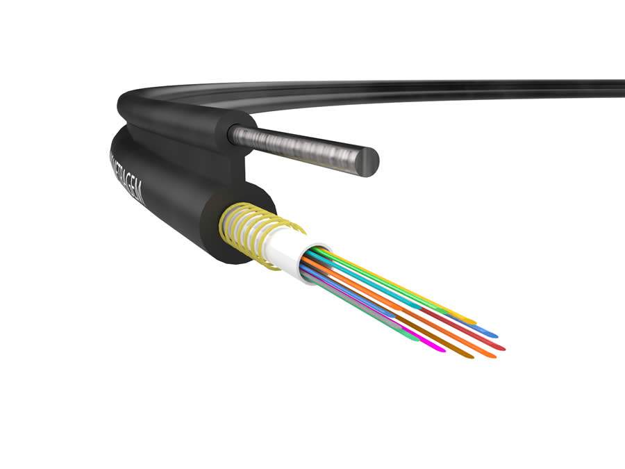 Cr&eacute;dito : Divulga&ccedil;&atilde;o