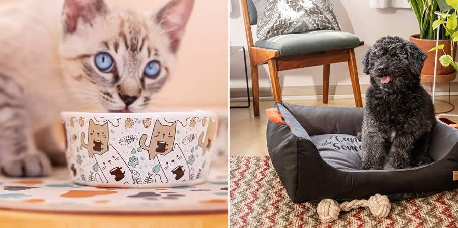 Camicado Lança Linha Exclusiva Para Pets