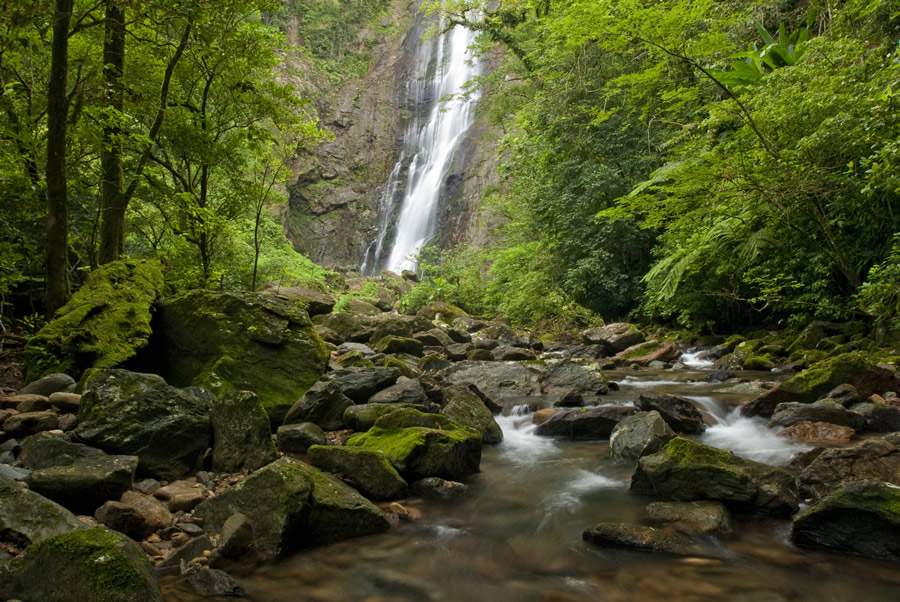  Cachoeira Salto Morato, com mais de 100 metros de queda, &eacute; op&ccedil;&atilde;o em Guaraque&ccedil;aba (PR), na Grande Reserva Mata Atl&acirc;ntica | Foto: Jos&eacute; Paiva/Funda&ccedil;&atilde;o Grupo Botic&aacute;rio