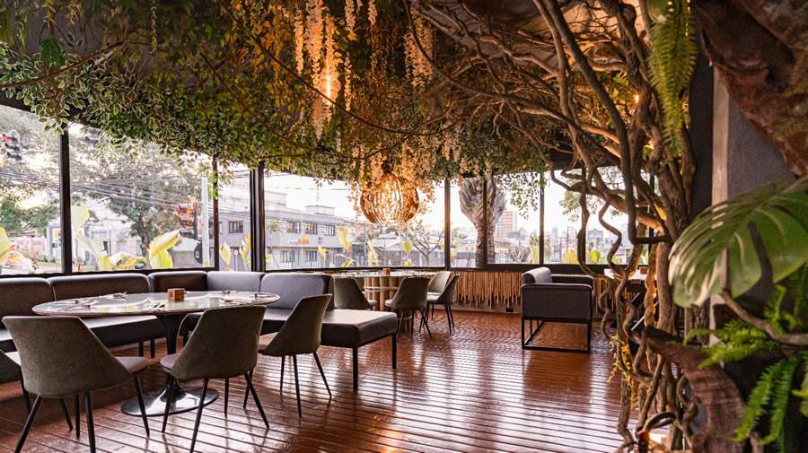 Uma floresta tropical em meio a cidade: conheça o novo restaurante que se tornou fenômeno em Curitiba
