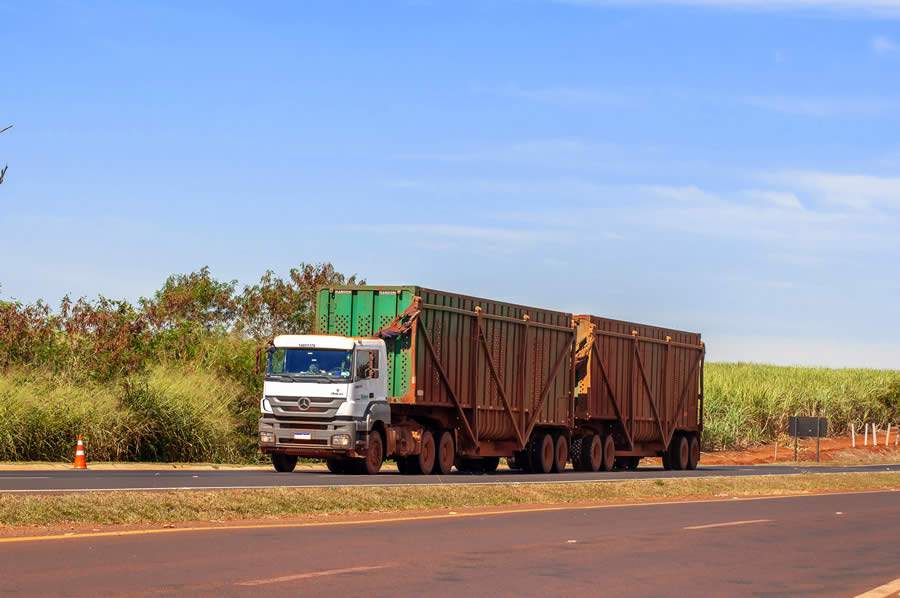 ve&iacute;culo canavieiro_ Cr&eacute;dito F&aacute;bio Melo