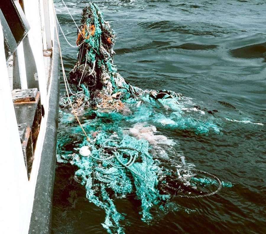  Crédito: Divulgação